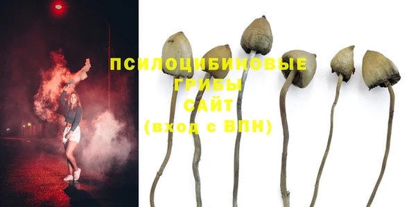 дмт Новозыбков