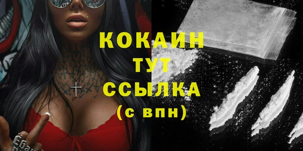 дмт Новозыбков