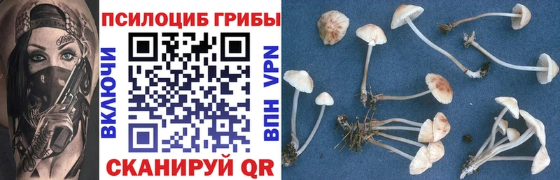 Псилоцибиновые грибы Cubensis  блэк спрут зеркало  Покров 